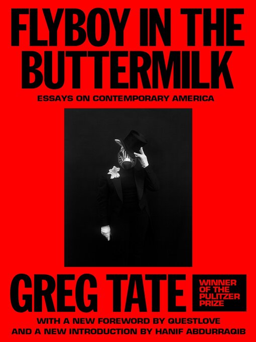 Cover image for Flyboy in the Buttermilk